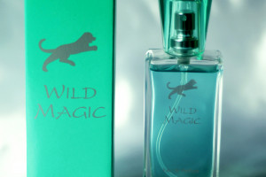 Wild Magic 4